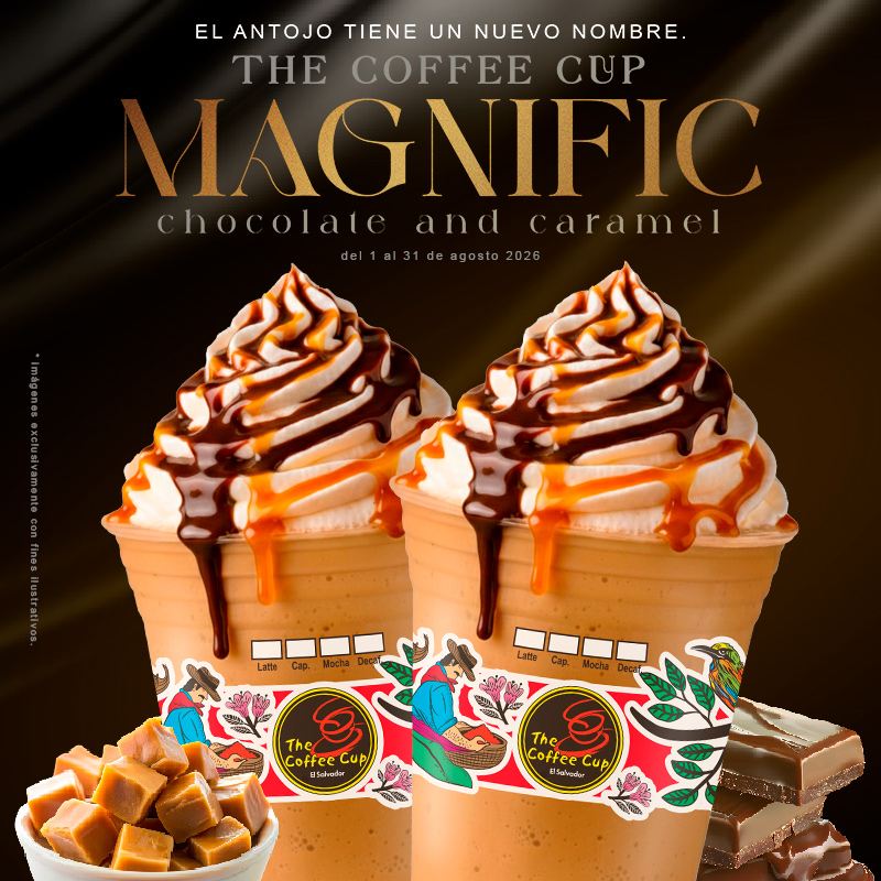 Promo 1